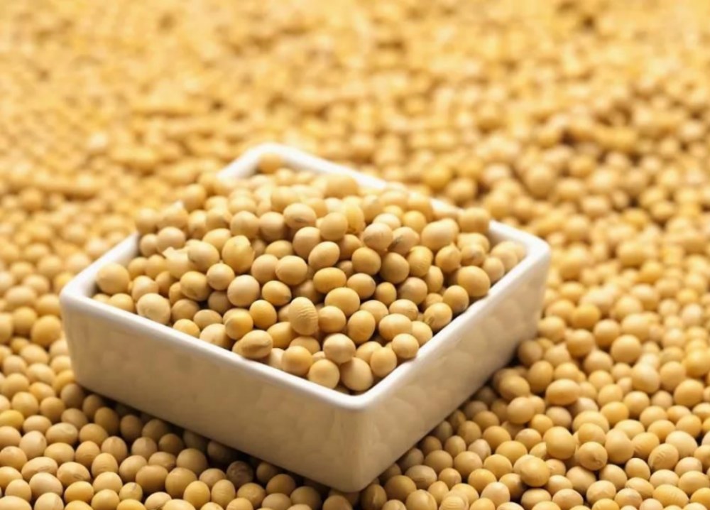 சோயா ஐசோஃப்ளேவோன்களின் நன்மைகள் என்ன?