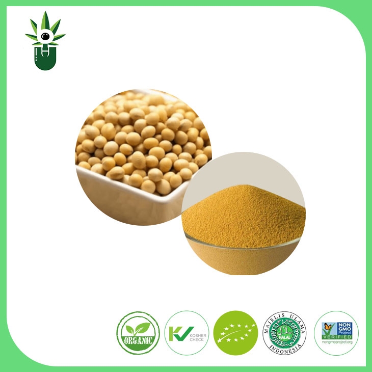 GMO அல்லாத சோயாபீன் சாறு தூள் 90% சோயா ஐசோஃப்ளேவோன்கள்